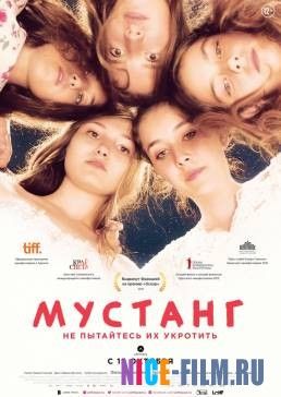 Мустанг (2015)