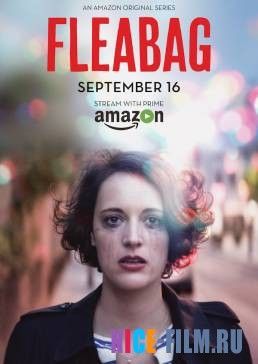 Флибэг / Дрянь / Пройдоха (1,2 сезон)