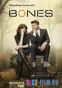 Кости (13 сезон)
