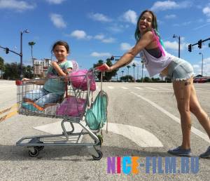 Проект «Флорида» (2017)