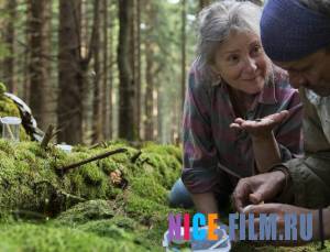 След зверя (2017)